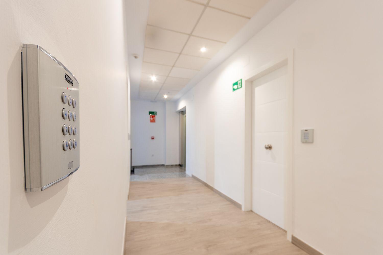 Apartamentos Basilica Santa Eulalia Parking Gratis Mérida Kültér fotó